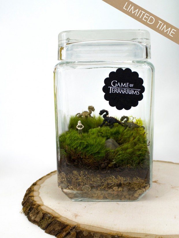 27 Small and Cute Themed Terrariums (14)