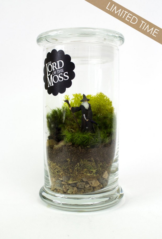 27 Small and Cute Themed Terrariums (20)