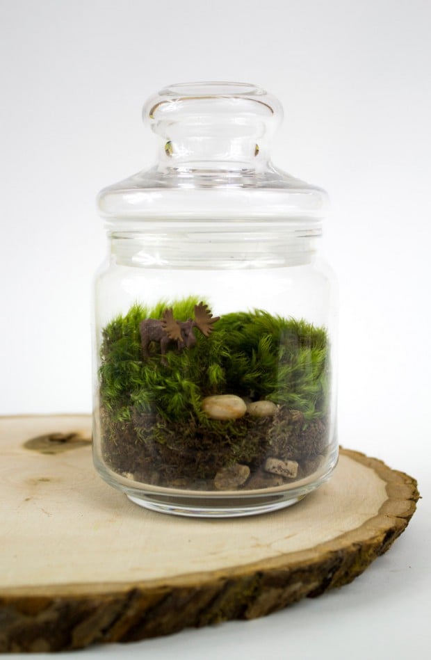 27 Small and Cute Themed Terrariums (24)
