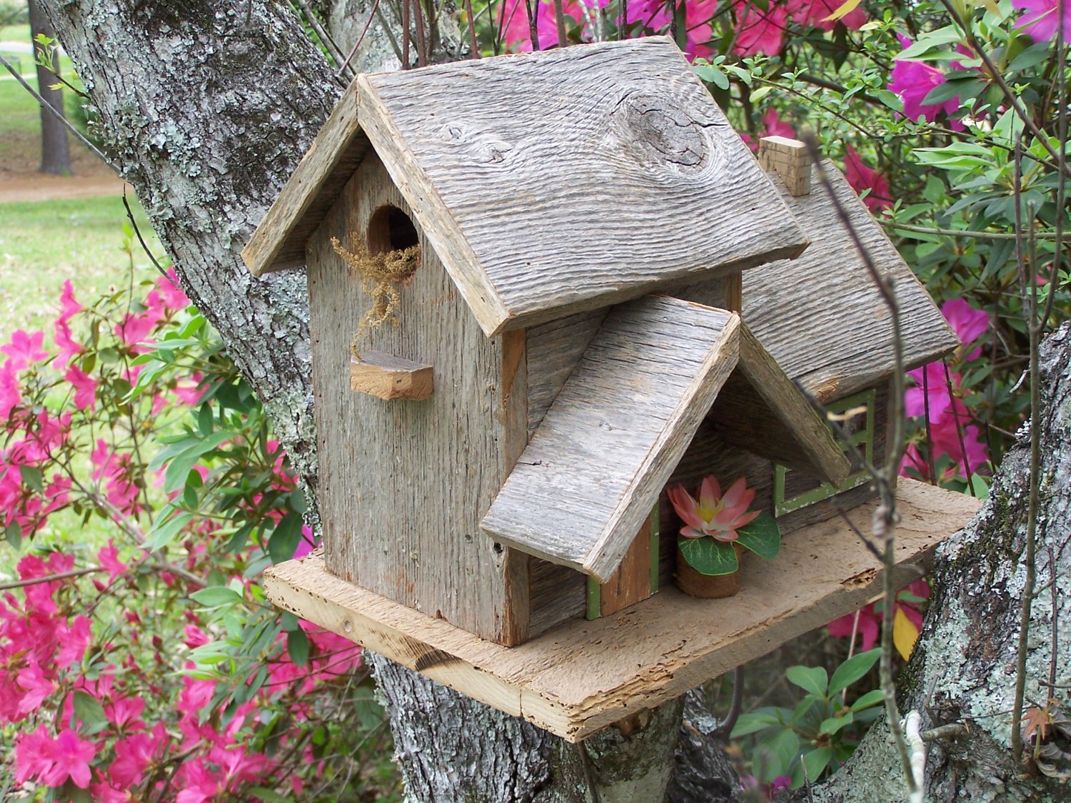  Box together with Wooden Bird House Designs. on wood bird house plans