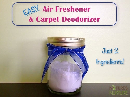16 Great DIY Natural Air Fresheners for Your Home (15)