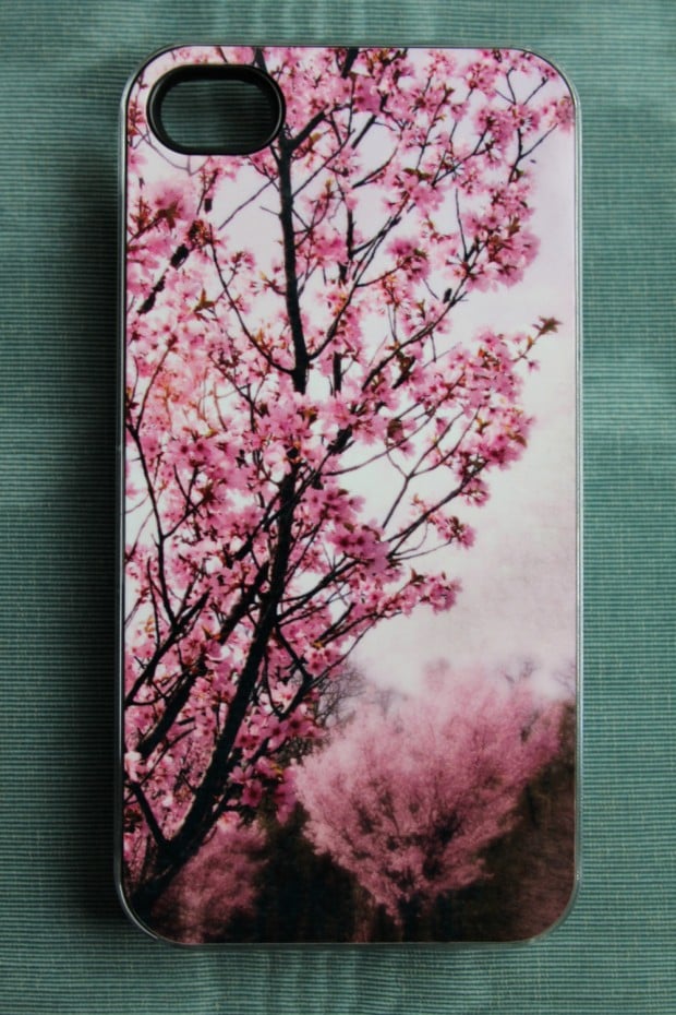 17 Creative and Natural Looking iPhone Cases for Spring (13)