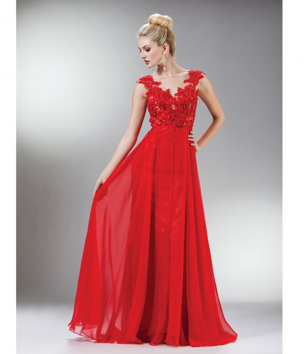 20 Elegant Evening Gowns  (16)