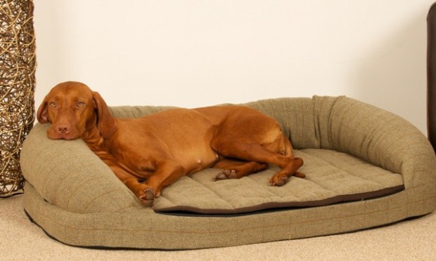 Country_Green_Tweed_Dog_Bed