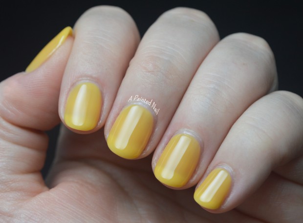 nail polish shades (6)