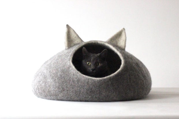 17 Cute Pet Bed Designs That Will Spoil Our Furry Friends (3)