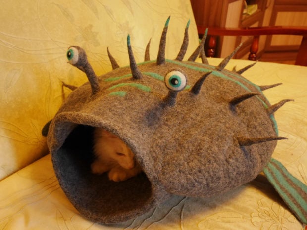 17 Cute Pet Bed Designs That Will Spoil Our Furry Friends (6)