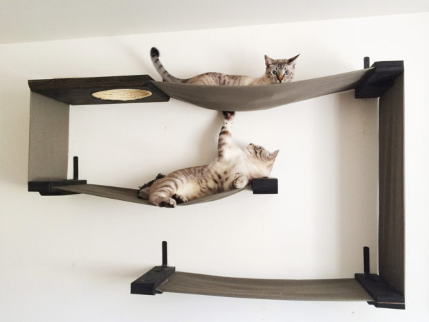 17 Cute Pet Bed Designs That Will Spoil Our Furry Friends (8)