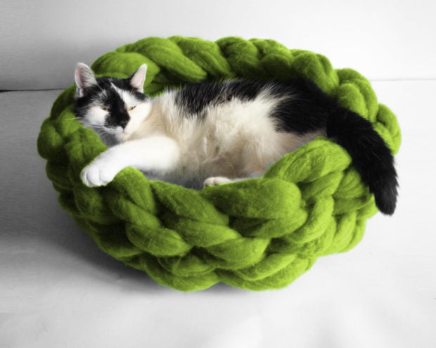 17 Cute Pet Bed Designs That Will Spoil Our Furry Friends (9)