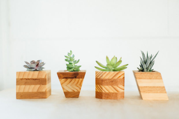 20 Cool Handmade Planter Designs For Indoor And Outdoor Use (1)