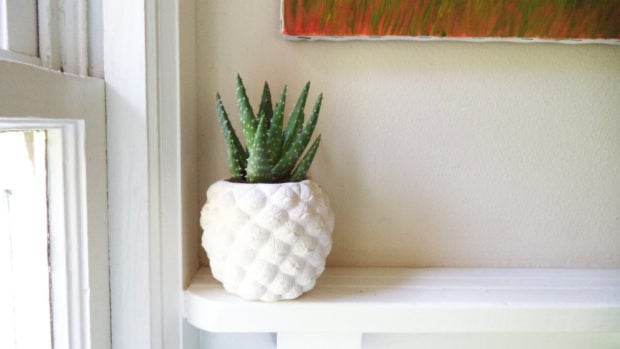 20 Cool Handmade Planter Designs For Indoor And Outdoor Use (3)
