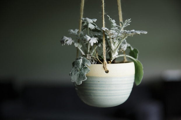 20 Cool Handmade Planter Designs For Indoor And Outdoor Use (7)