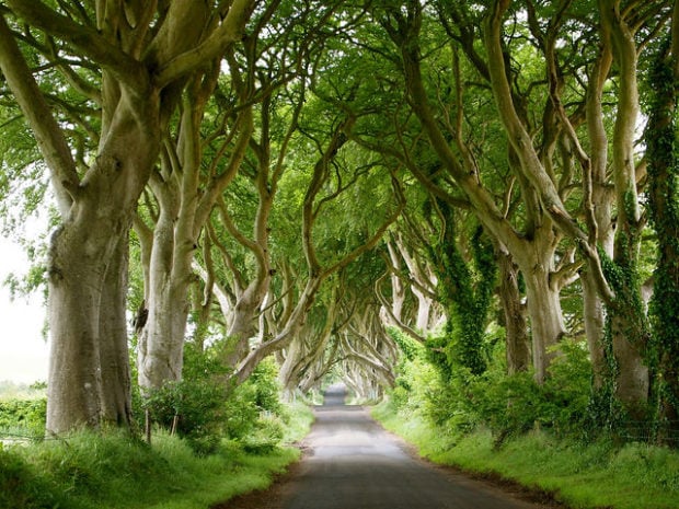 8 Places All Game Of Thrones Fans Need To Visit