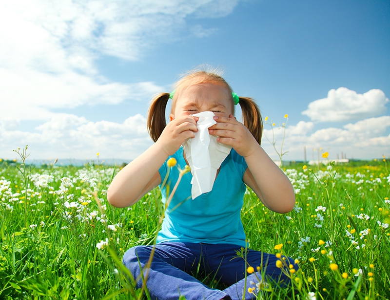 How To Rid Your Home of Common Spring Allergens