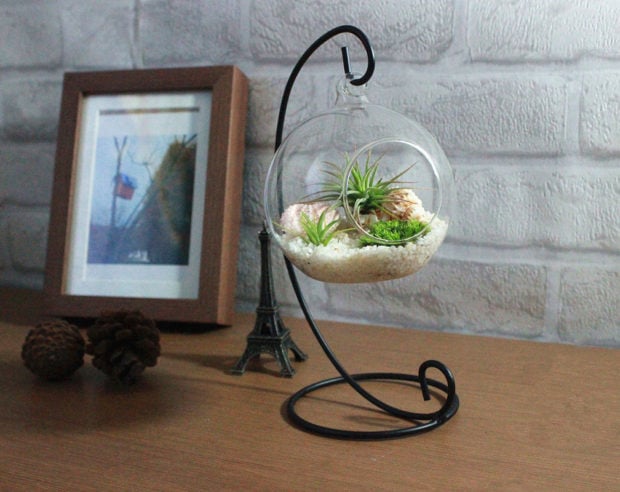 15 Awesome Terrarium Designs That Will Bring Living Decor In Your Home