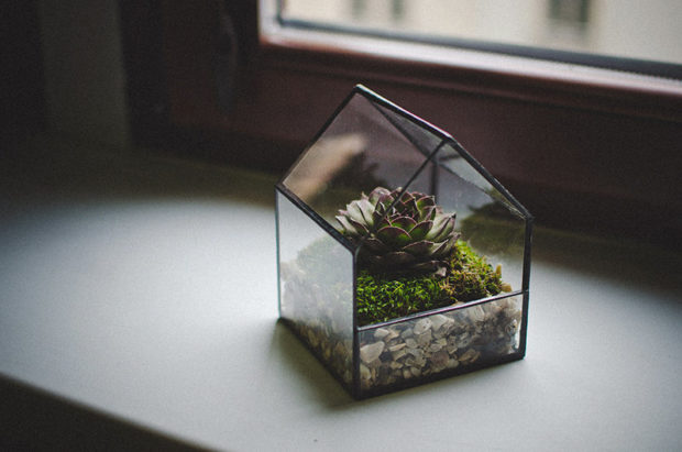 15 Awesome Terrarium Designs That Will Bring Living Decor In Your Home