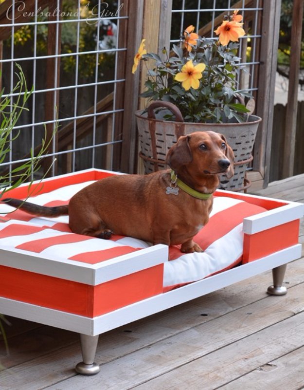 16 Lovely DIY Dog Bed Ideas Your Puppy Needs