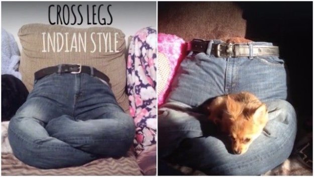 16 Lovely DIY Dog Bed Ideas Your Puppy Needs