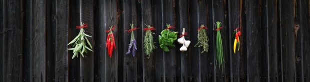 How to Plan an Herb Garden