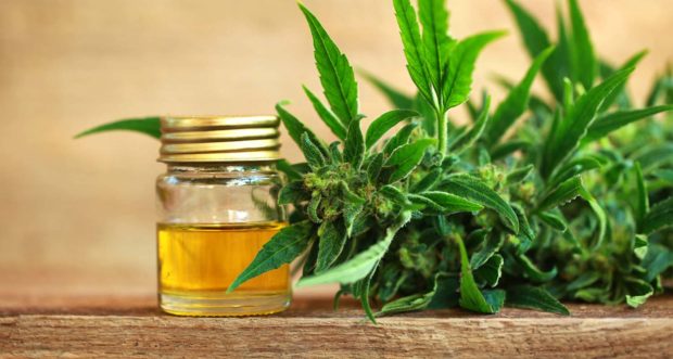 Skin Care Benefits From Cannabis Oil