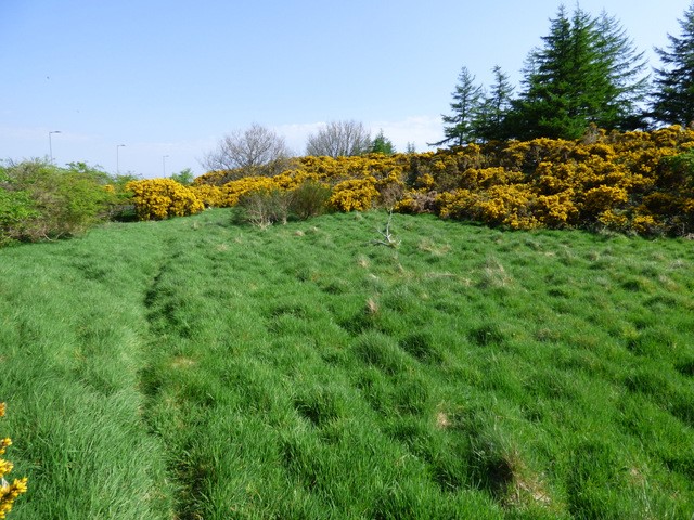 3 Reasons Why You Should Consider Hiring a Lawn Mowing Company