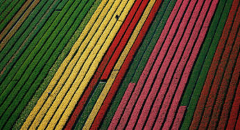 40 Amazing Photos by Yann Arthus-Bertrand