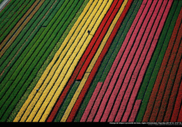 40 Amazing Photos by Yann Arthus-Bertrand - worldwide, top, sea, highest mountain, earth, collection, amazing photos