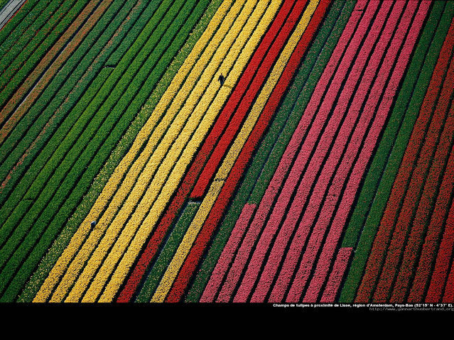 40 Amazing Photos by Yann Arthus-Bertrand - worldwide, top, sea, highest mountain, earth, collection, amazing photos