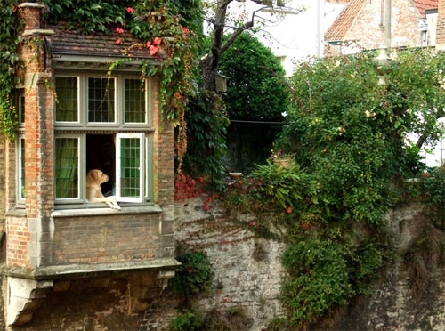 Bruges-Style Motivation (21)