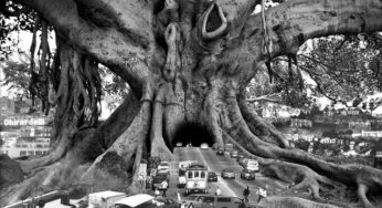Surreal Art By Thomas Barbey