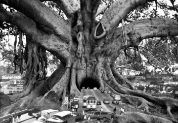 Surreal Art By Thomas Barbey -