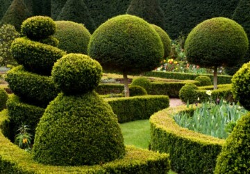 Amazing Gardens -