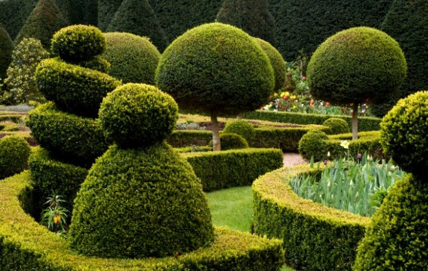 Beautiful gardens