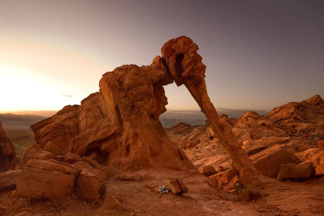 The Outlandish Landscapes -