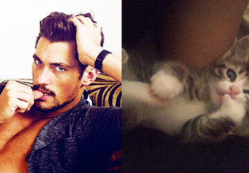 Hottest Men and Their Counterparts - men, hot, cat
