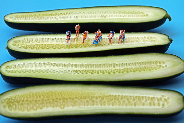 Cucumber-Sunbathers-