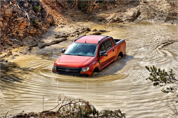 Ford Ranger Wildtrak - Fabian Grass