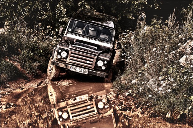 Land Rover Defender Rough - Fabian Grass