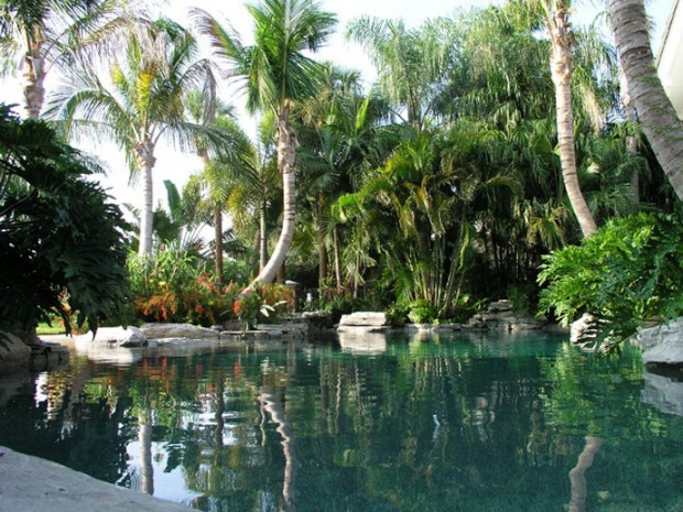 amazing pools (8)