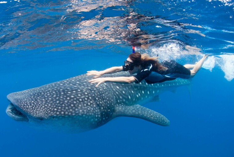 50 Amazing Photos from Cancun -
