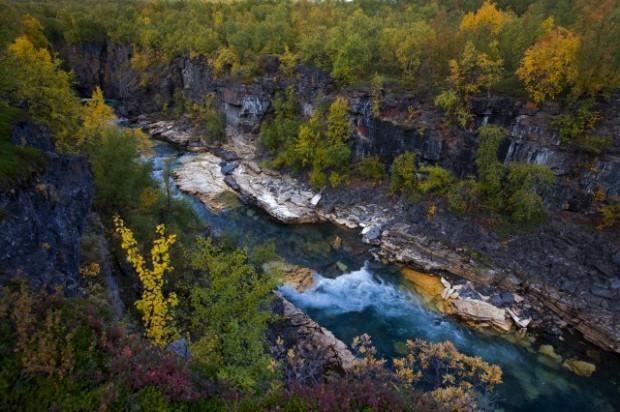 Beautiful view of a canyon with autumnal plants at Abisko national park at Sweden