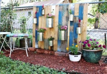 9 DIY Ideas to Improve Your Backyard -