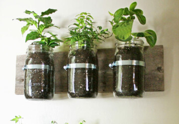 25 Planters – DIY and Recycled -