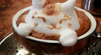 Incredible 3D Latte Art by Kazuki Yamamoto