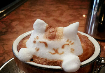 Incredible 3D Latte Art by Kazuki Yamamoto - latter art, Kazuki Yamamoto, art, 3D Latte Art