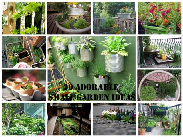 20 Adorable Small Garden Ideas