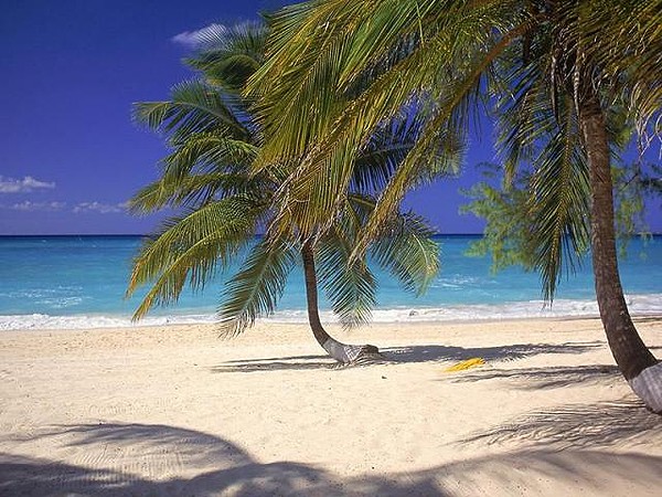 22 Amazing Photos of Cayman Islands (10)