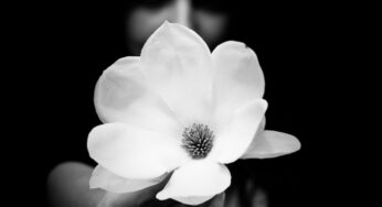 Powerful Black and White Photography by Benoit Courti