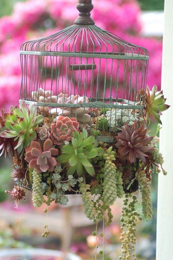 20 Amazing DIY Accessories for Your Garden (6)