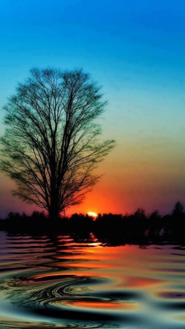 20 Breathtaking Sunset Photography (16)